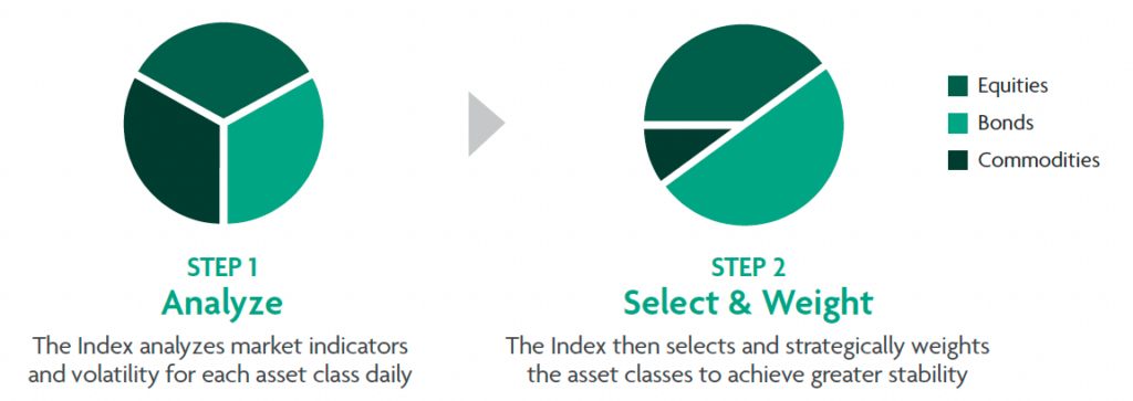 Daily Rebalancing Process